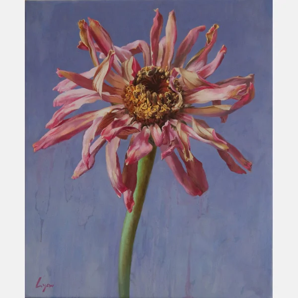 Zinnia 6 | 2010 | oil on canvas| 24" x 20"