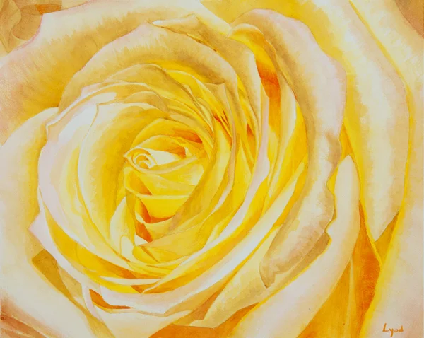 rose_3.jpg