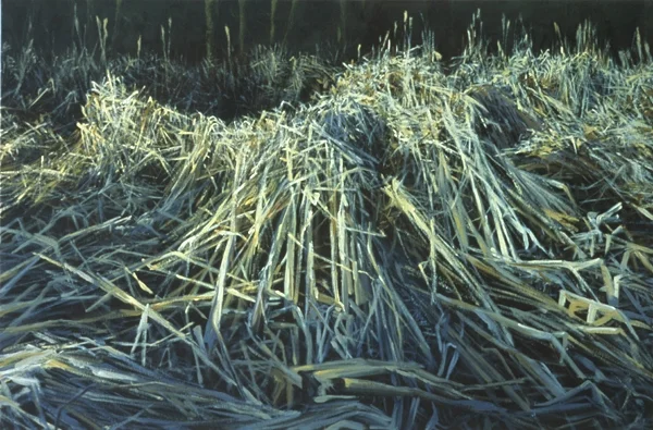 Cedar Lake # 4 | 2004 | oil on canvas | 20" x 30"