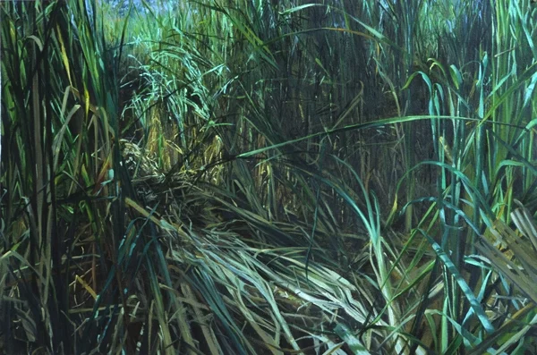 Homeless Path | 2005 | oil on paper | 20" x 30"
