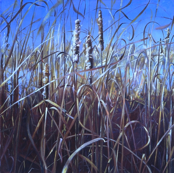 Near Duck Blind | 2005 | oil on paper | 15"x 15"
