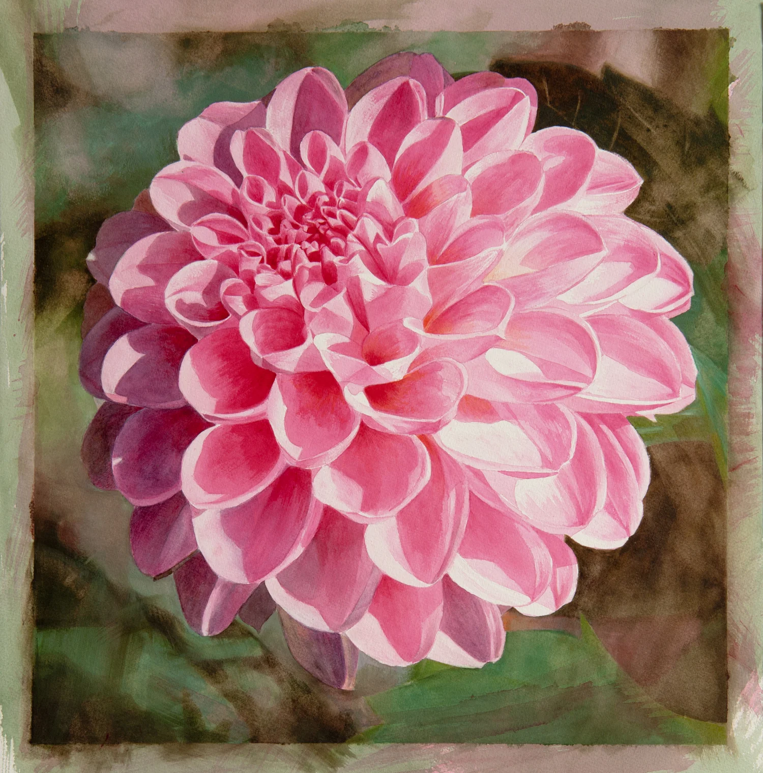 Button Dahlia, watercolor on paper, 21" x 20", 2013