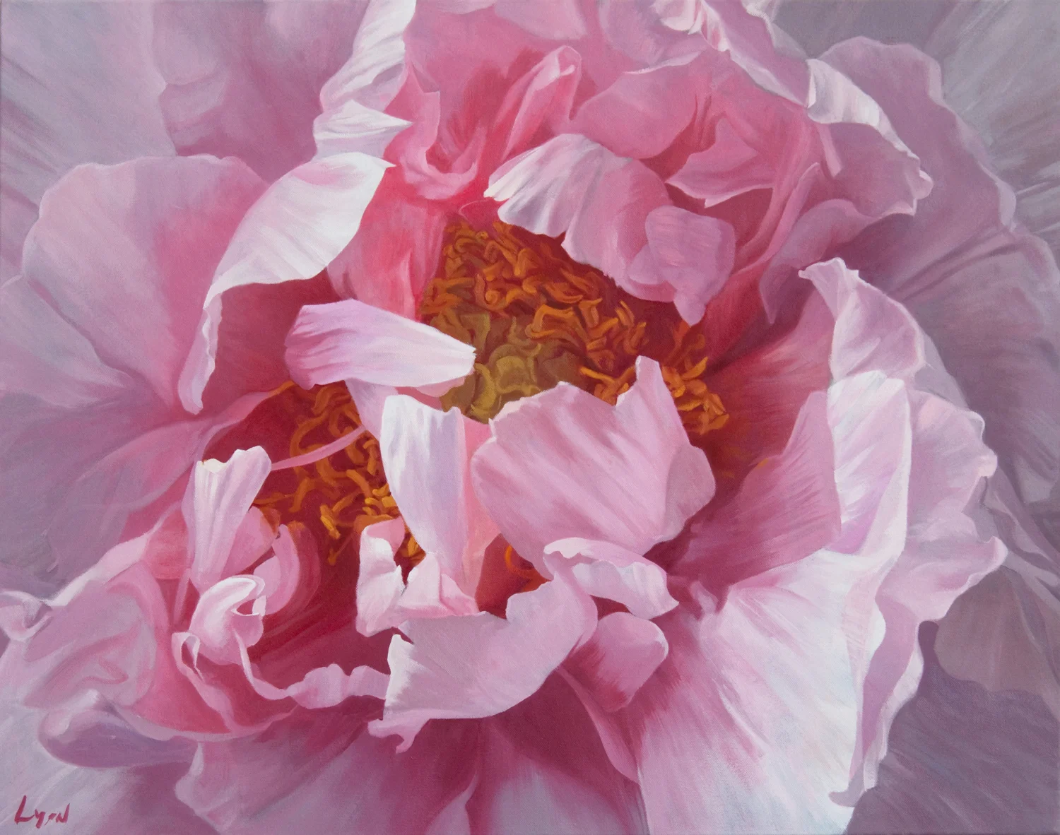 Tree Peony 2 | 2011 | oil on linen | 22" x 28"