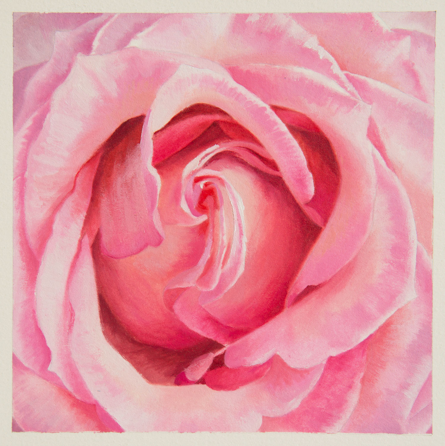 Rose ( Esperance) 2, oil on paper, 5.5" x 5.5", 2014
