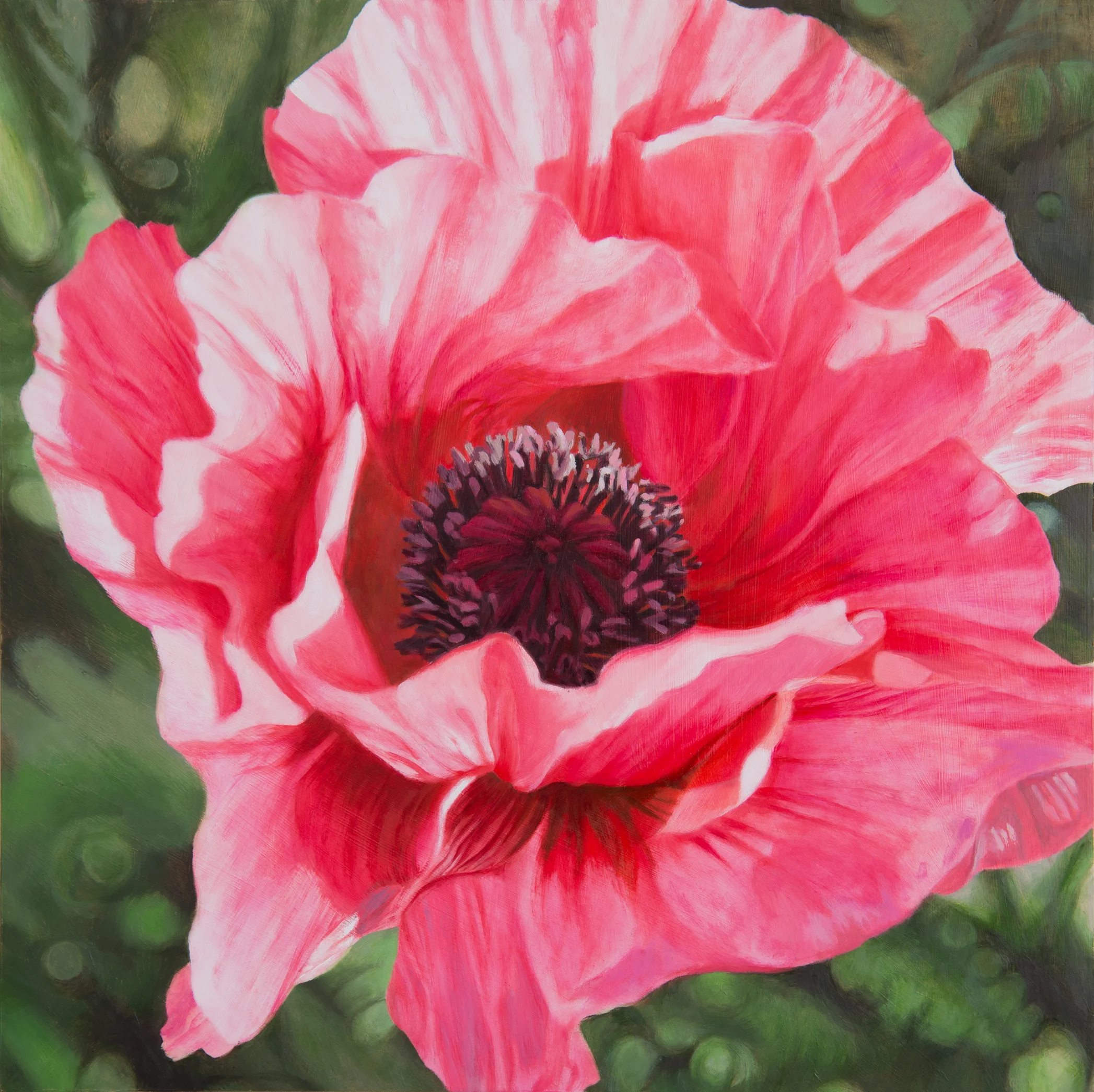 David's Poppy, oil on panel, 16" x 16", 2016