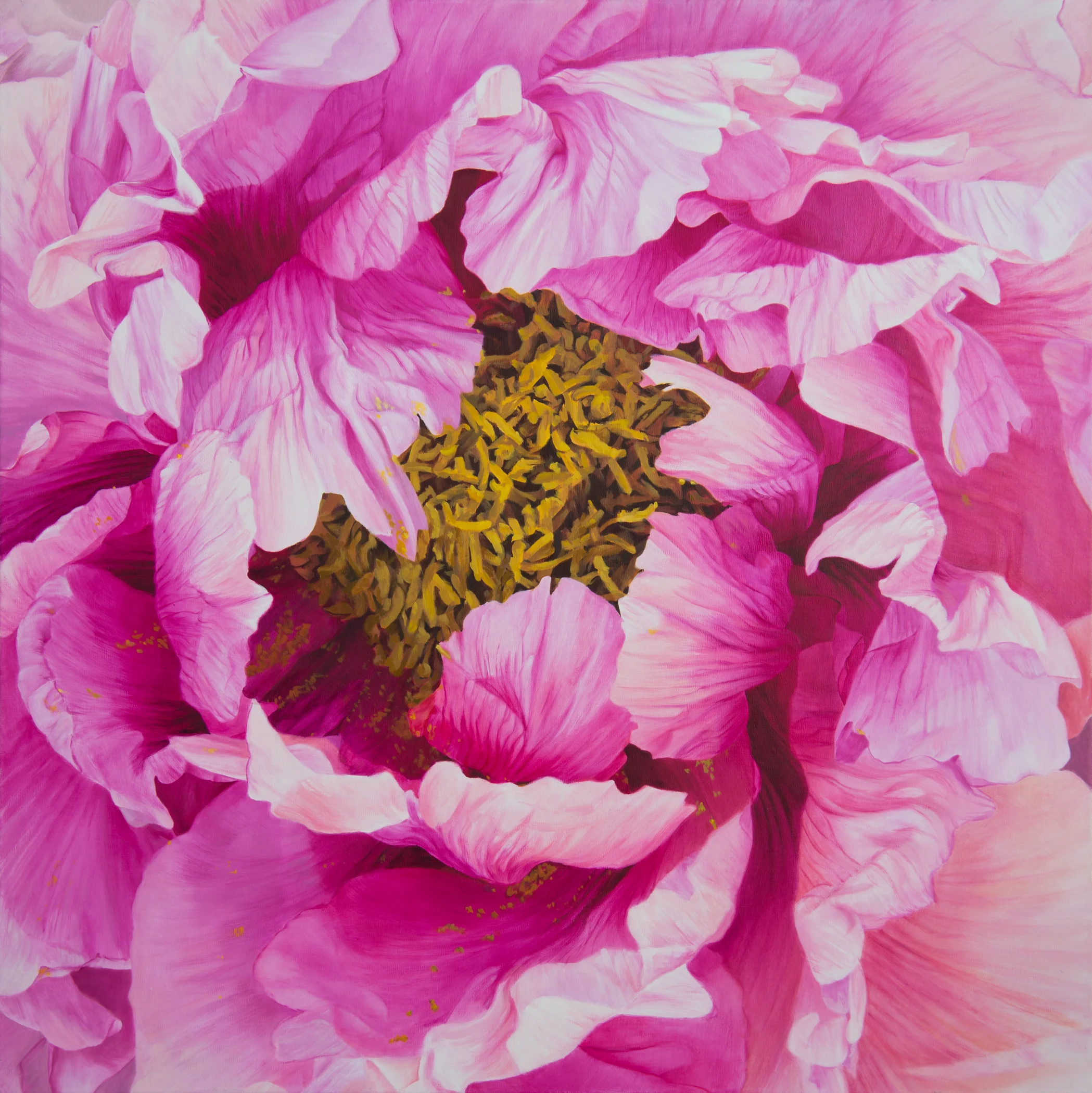 Peony (Baron TB Shade), oil on linen, 30" x 30", 2017
