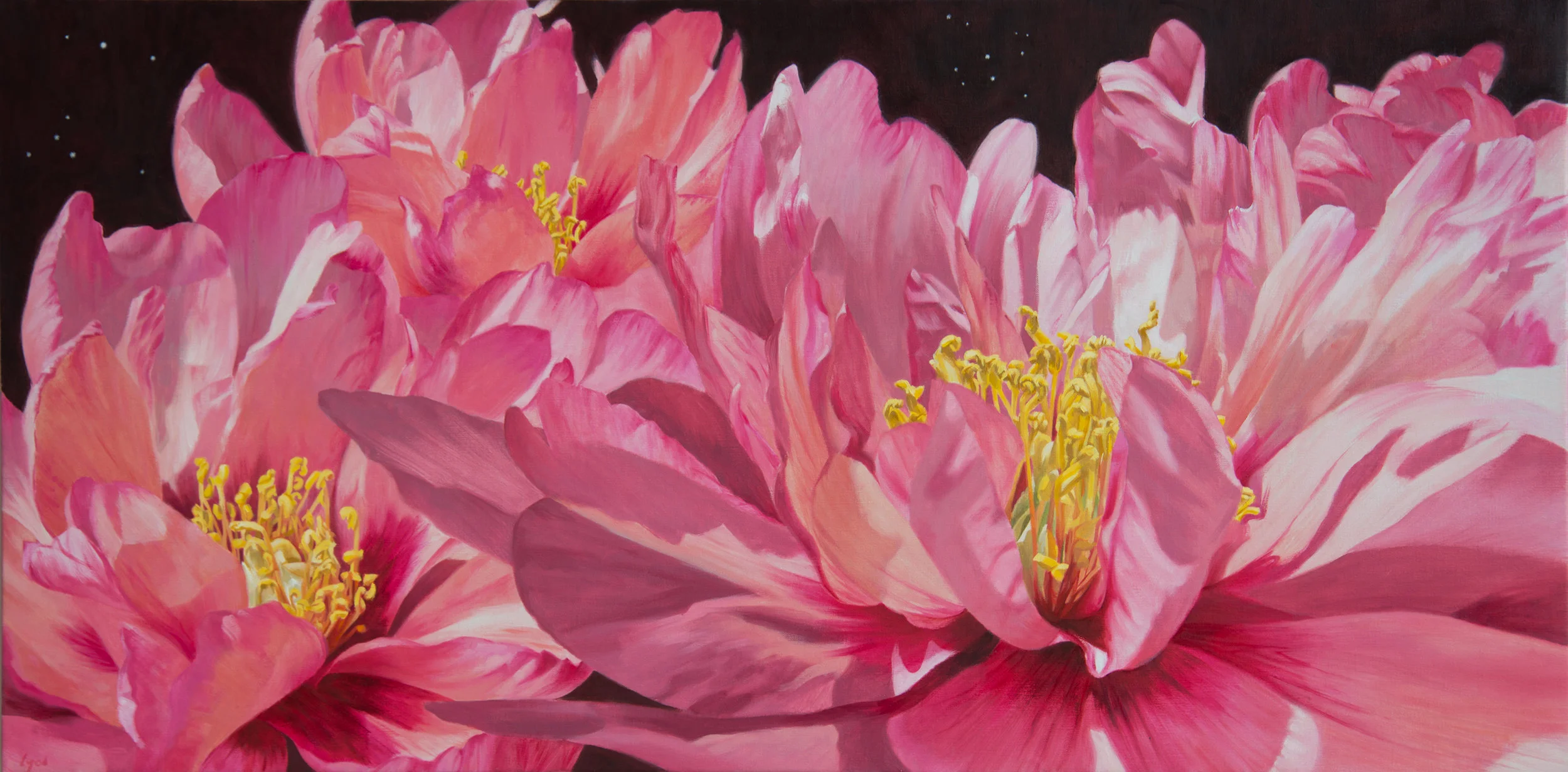 "Stardust", oil on linen, 22" x 44", 2017