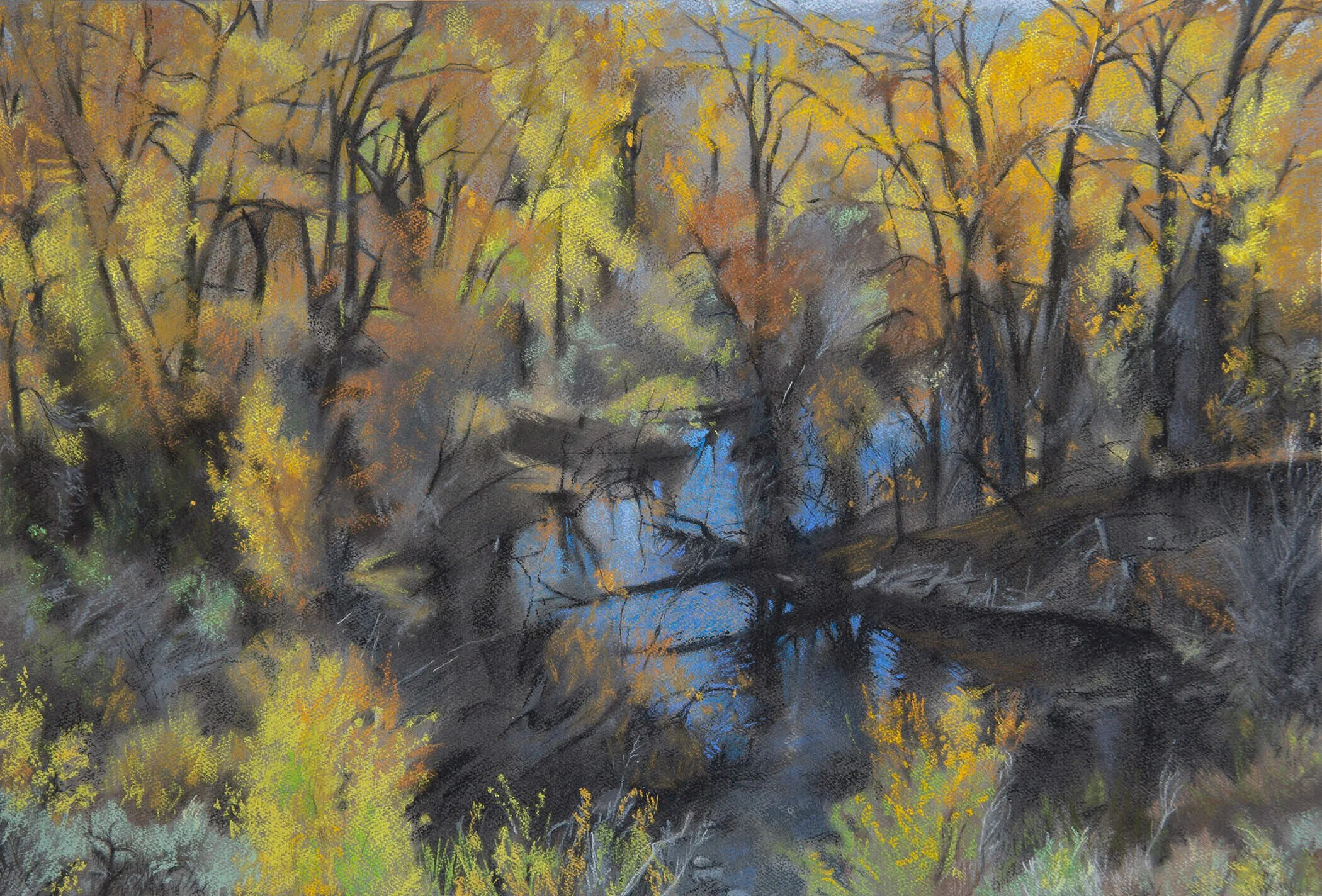 Source, 20" x 29.5", pastel on paper, 2020 (Copy)