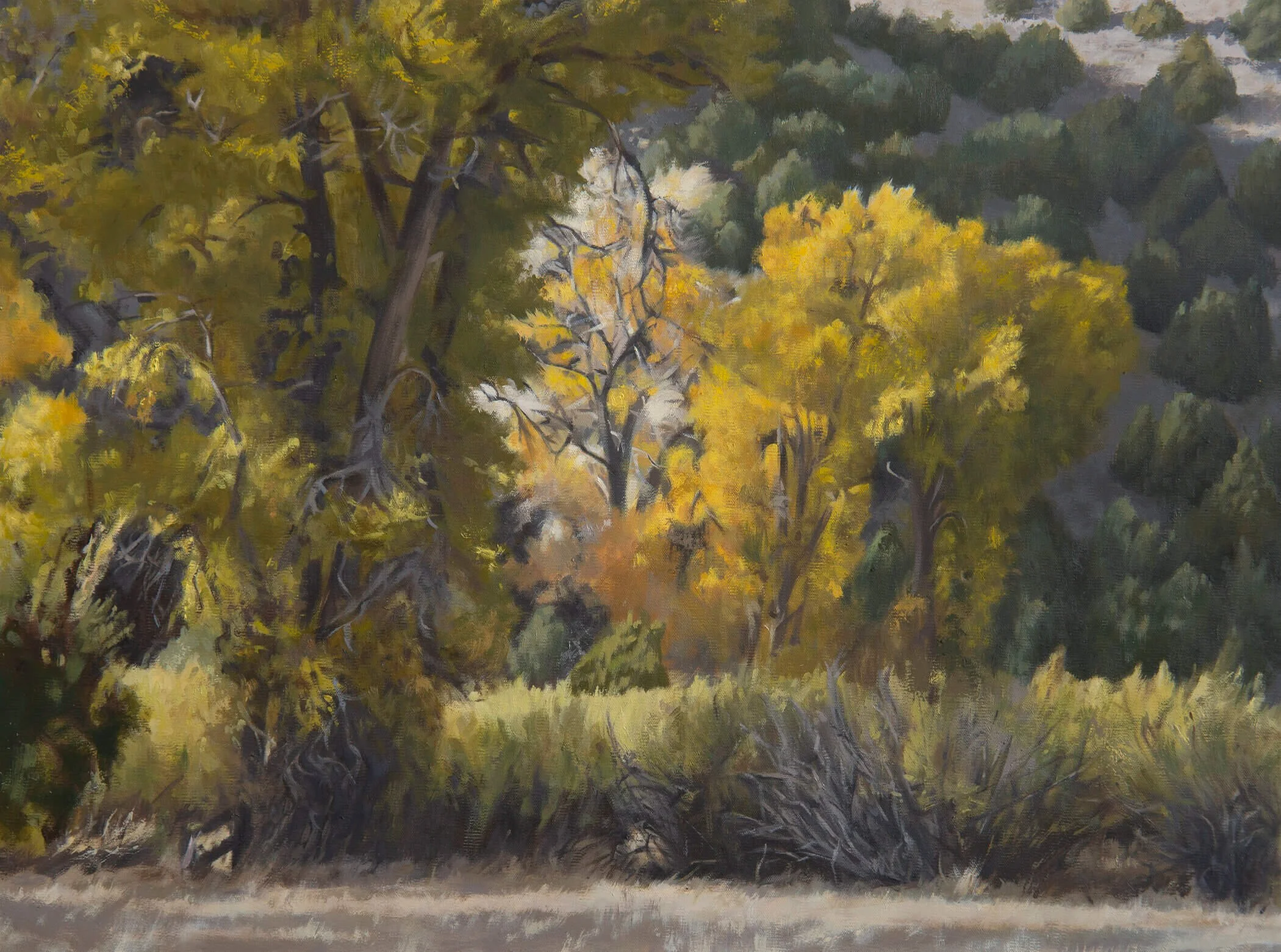 Overstory, 18" x 24", oil on linen, 2019 (Copy)