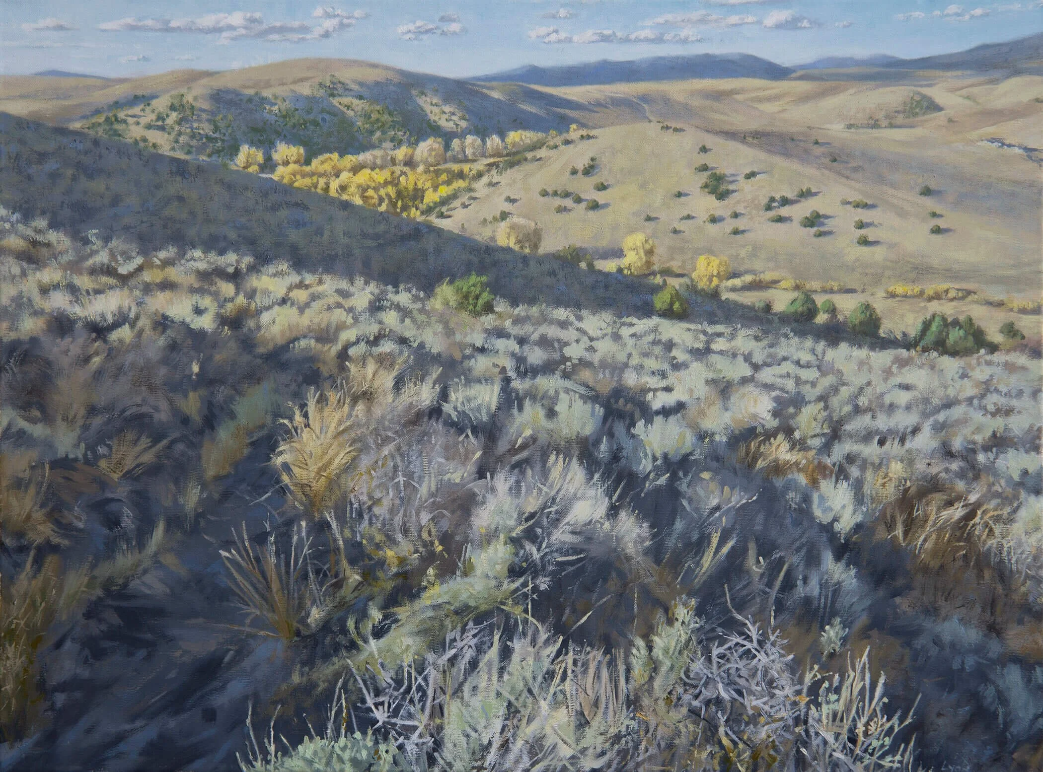 Looking West, 18" x 24", oil on linen, 2019 (Copy)