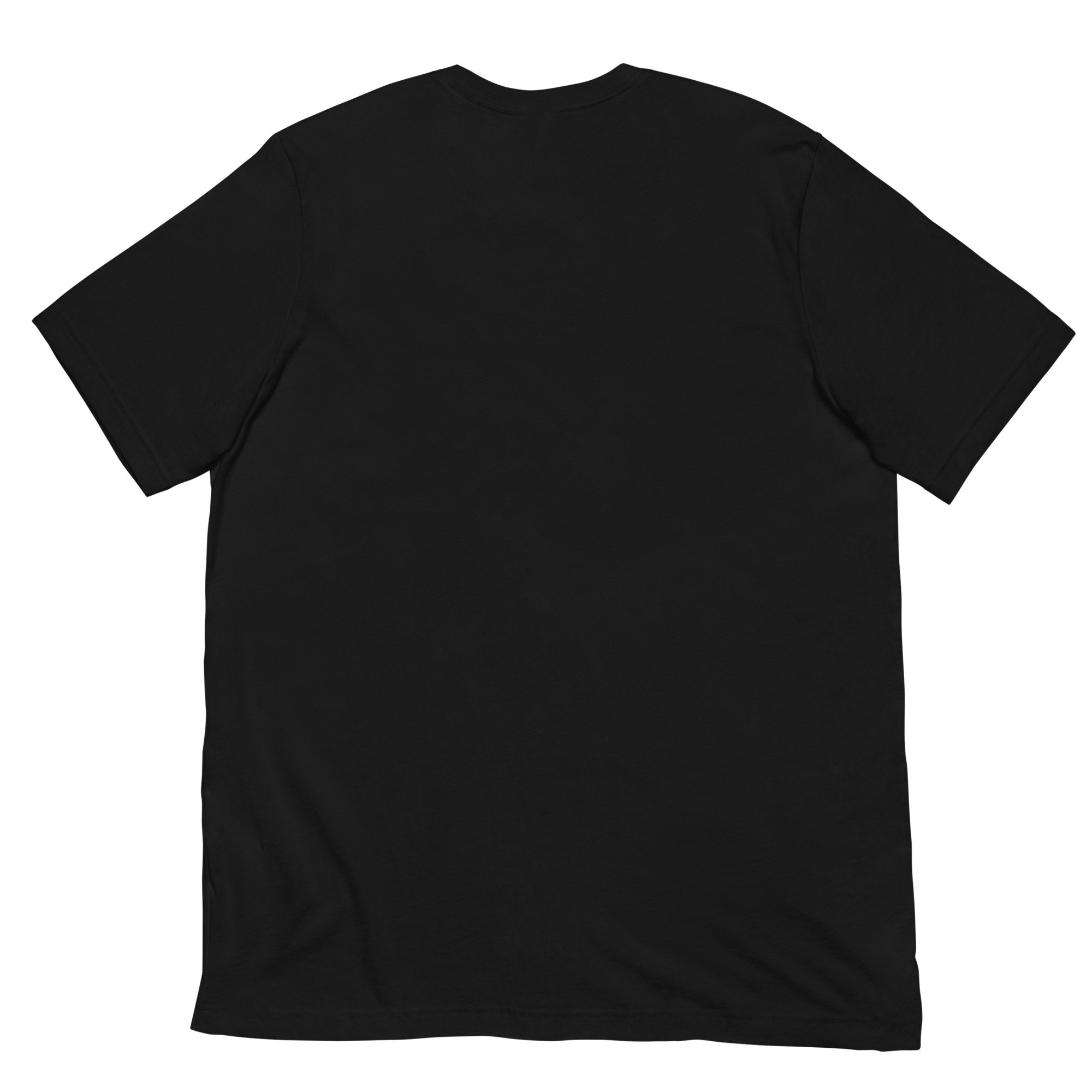 unisex-staple-t-shirt-black-back-6a469ed0d3448.jpg