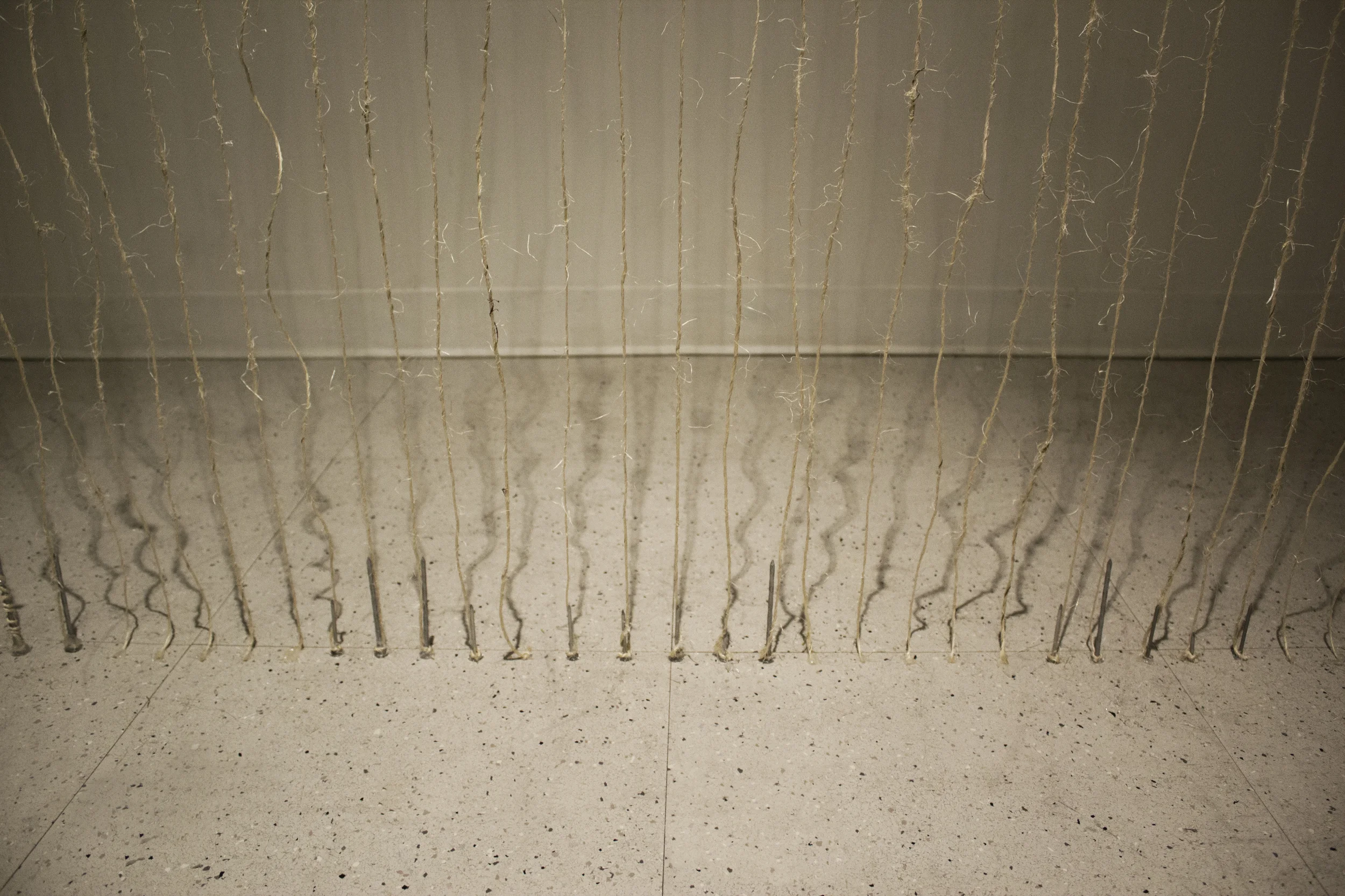   Attachment , 2014. Rope Twine and nails. 12 x 12 x 12 ft. 