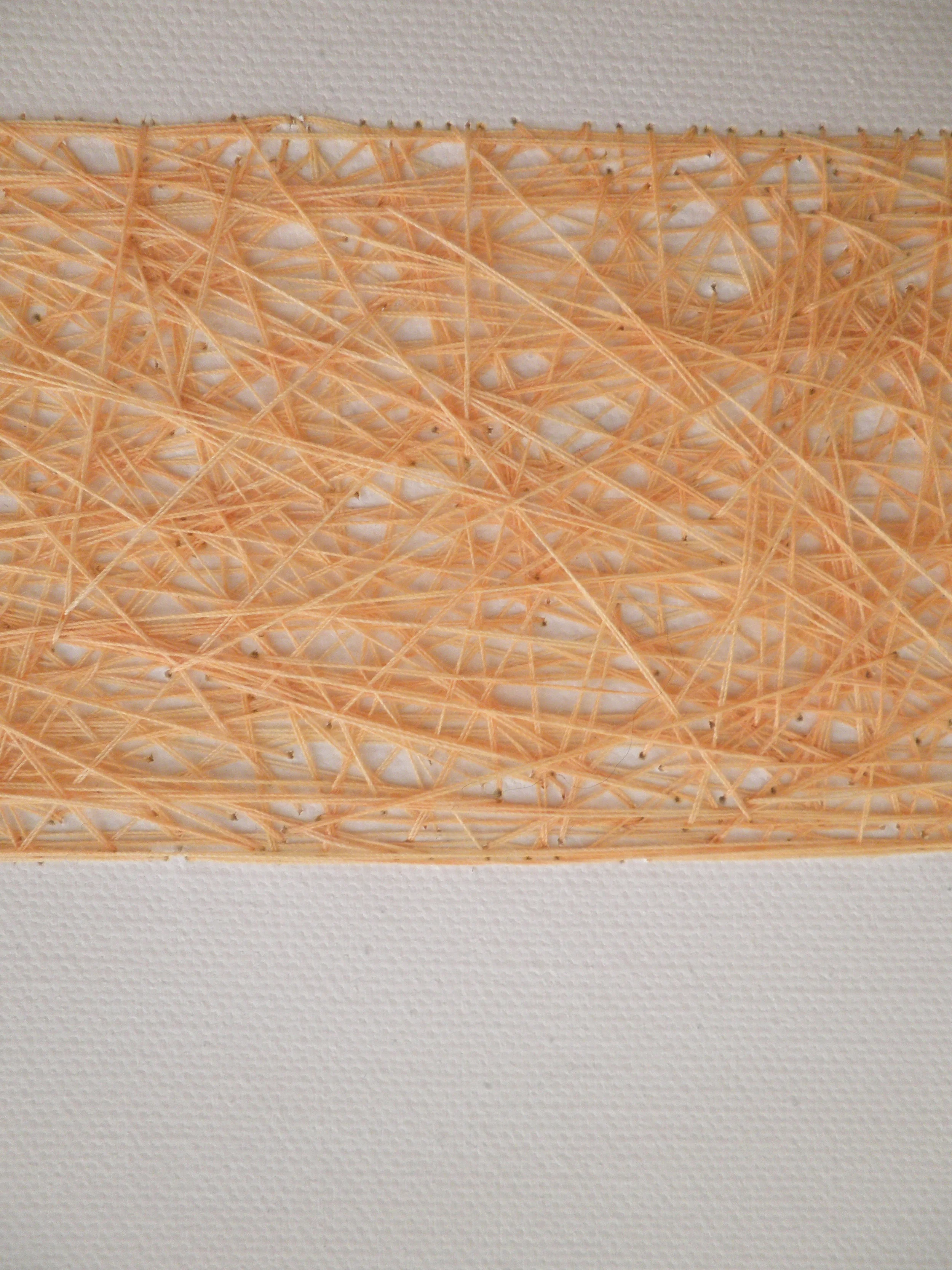  Misperception, 2012. Hand-dyed thread on canvas. 
