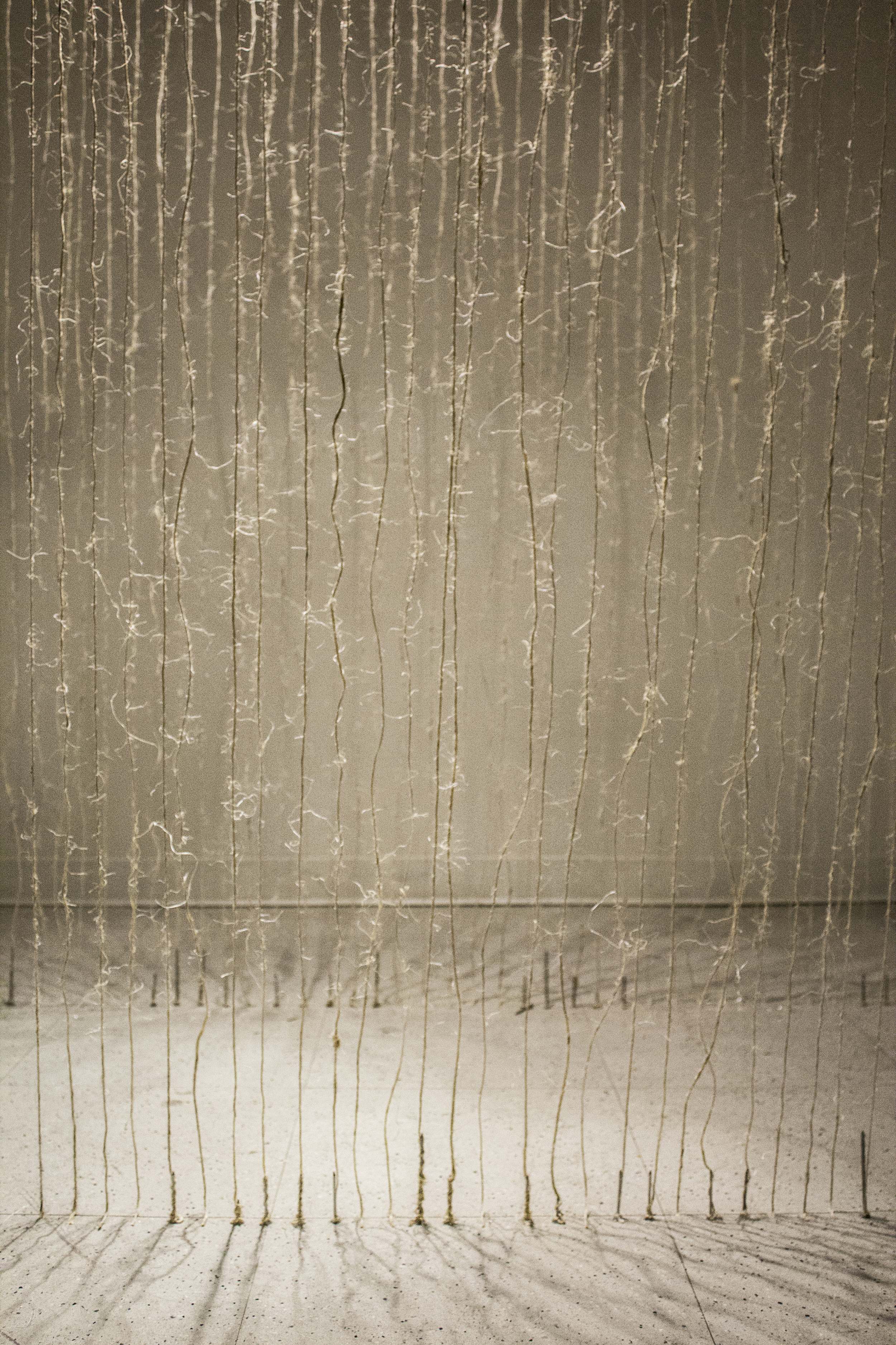  Attachment , 2014. Rope Twine and nails. 12 x 12 x 12 ft. 