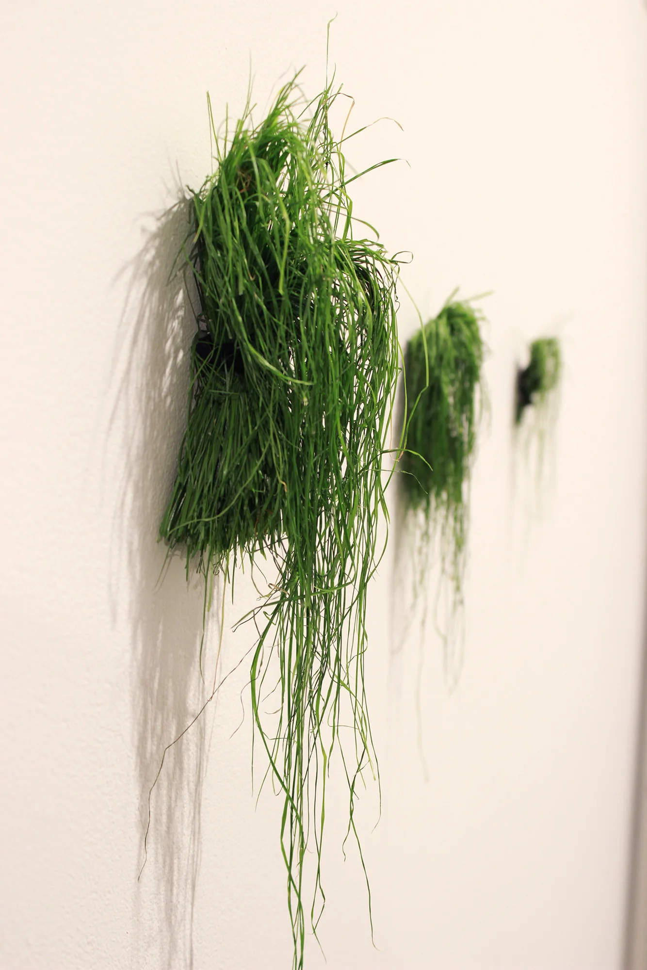   The Joneses , 2015/2021. Grass, soil, plywood, and hair ties. 