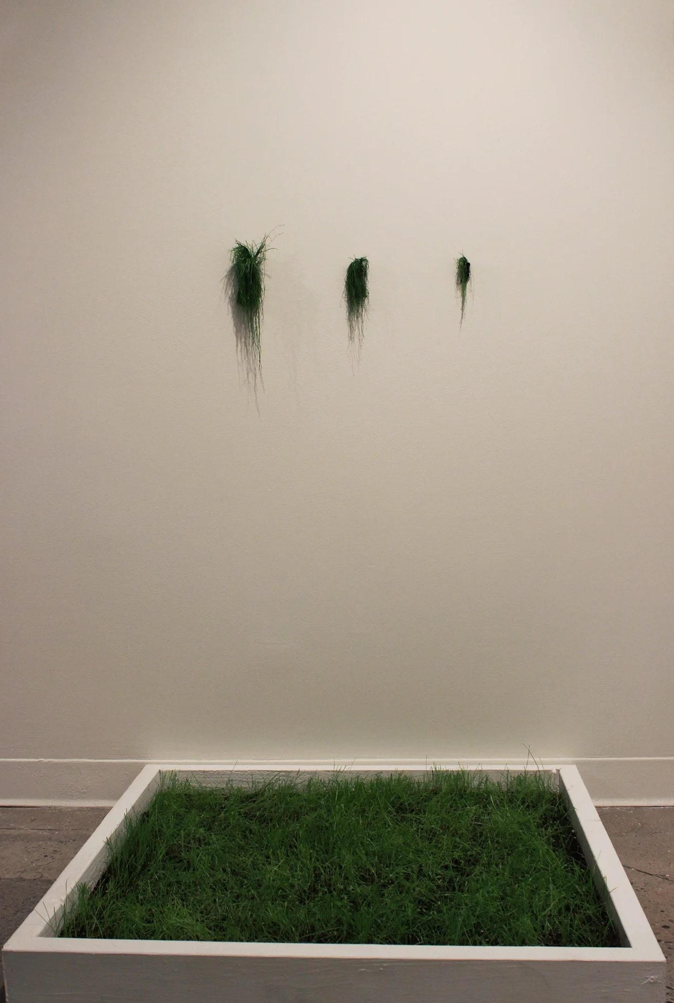  The Joneses, 2015/2021. Grass, soil, plywood, and hair ties. 