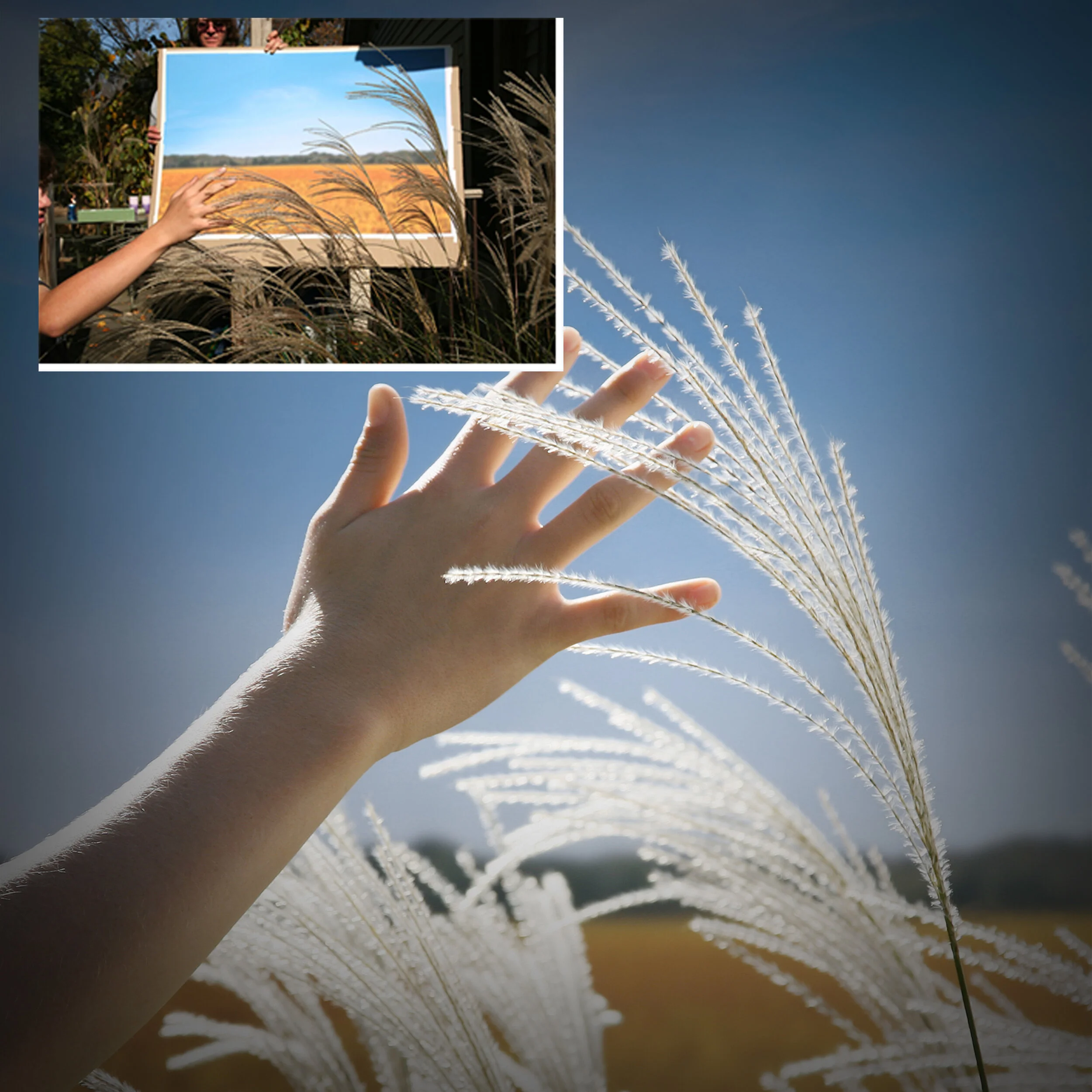 High_Fiving_Nature_3.jpg
