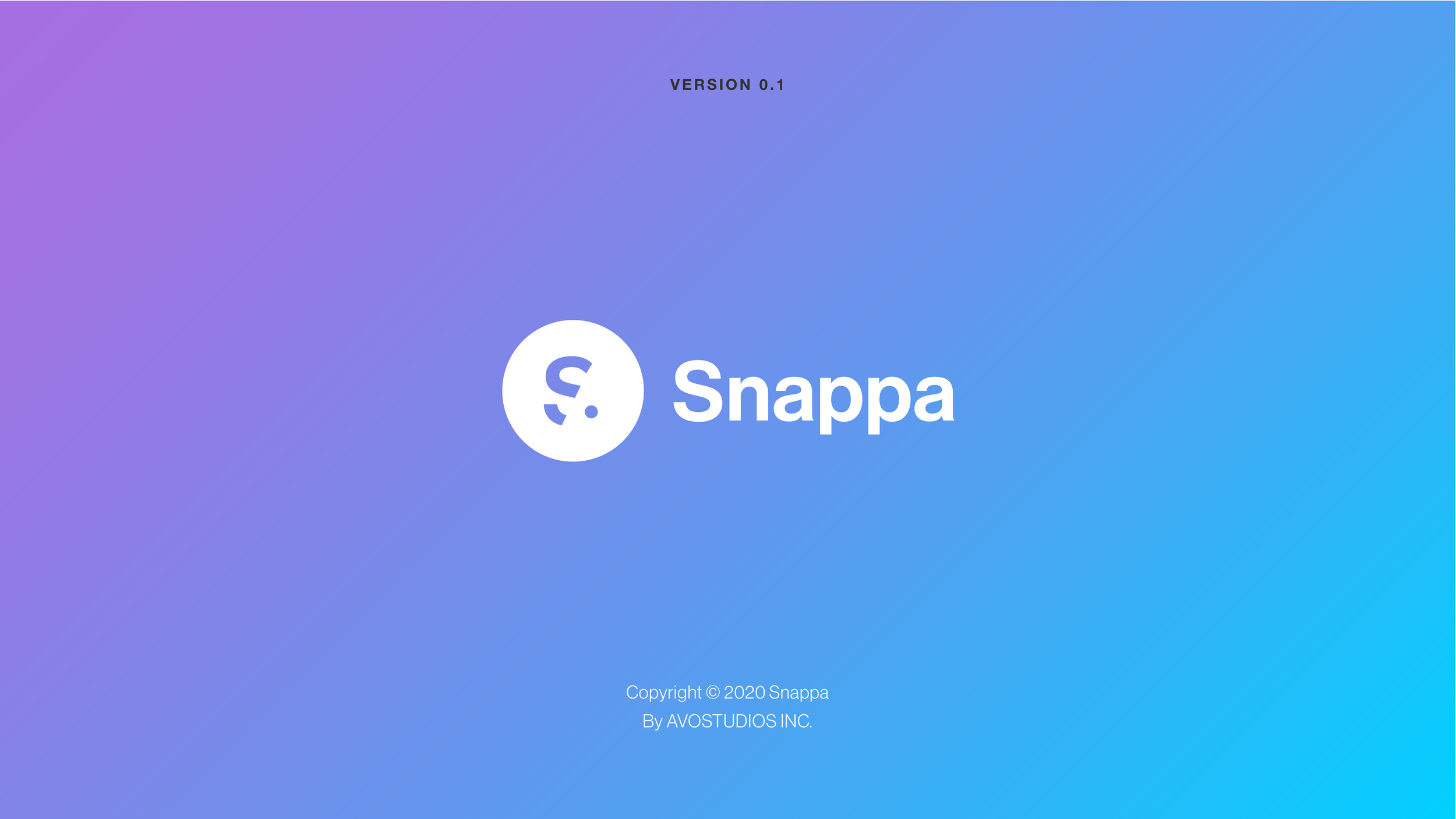 Snappa-Branding-Guideline-202320.png