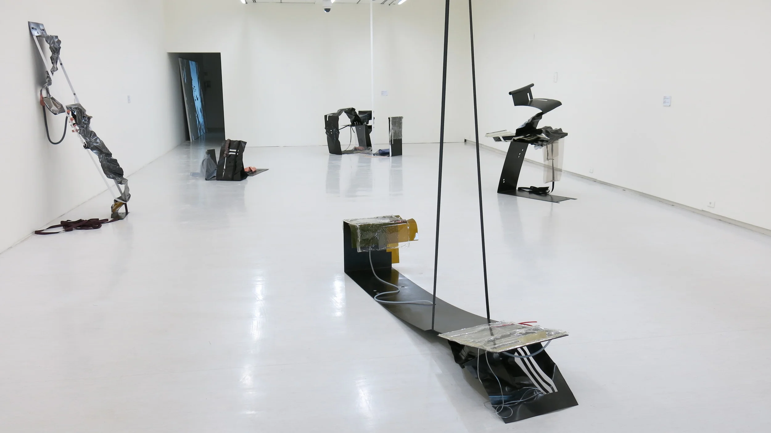 Alisa Baremboym, Fluidiax Systems, 2014. Photo: Lucy Rees. 