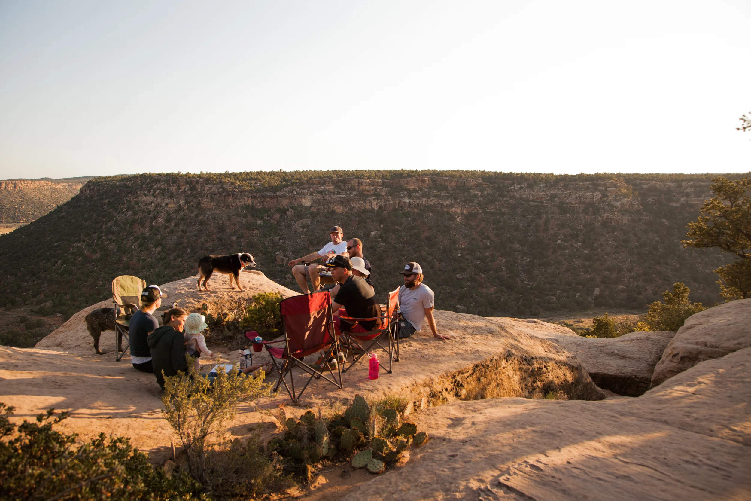 And here's one from Gooseberry Mesa, in southern Utah, where I spent a week biking and camping with friends. 