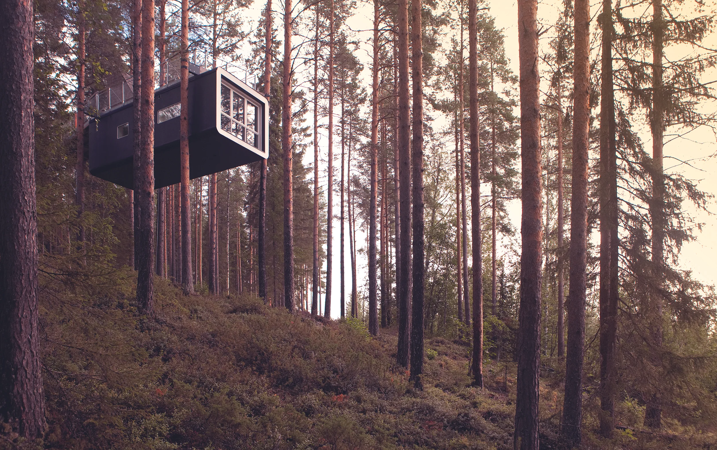 Imagine waking up everyday and looking directly into a misty forest. Your bed supported by the strong branches of an oak tree. Your world suspended high above the earth. Ah, to live in a treehouse. There's something magical and childlike about the idea. But who wants to actually live in a treehouse? Now you can just stay in one for a few nights. I did a roundup for Outside on the best treehouses around the world that you can actually stay in, like this one above, from the Tree Hotel in Sweden. Next up? I'm writing about hotels where you can sleep in an Airstream trailer. What other alternative lodging should I cover? 