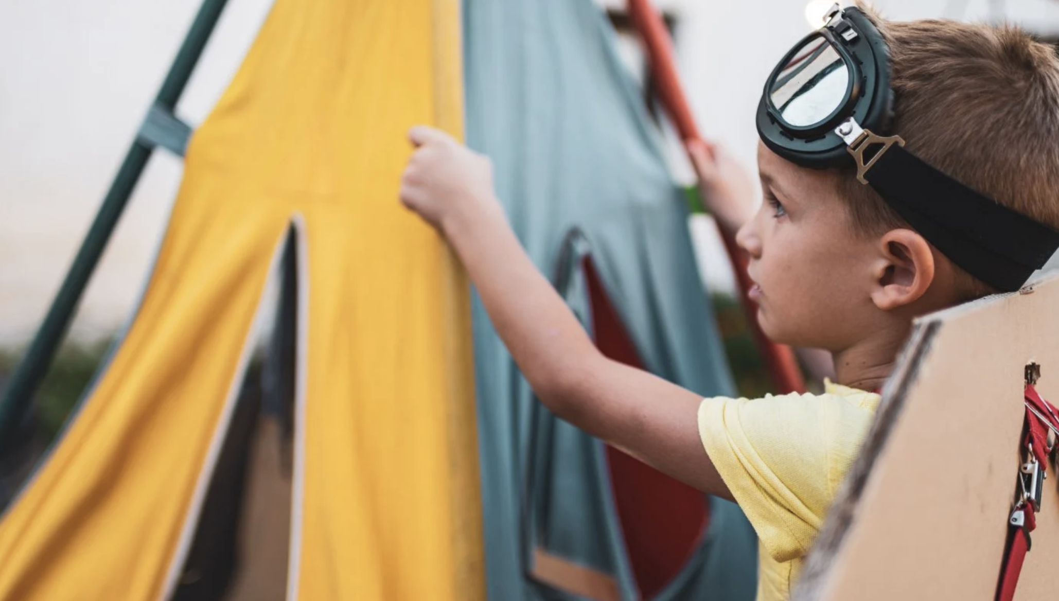 Virtual Field Trips and Other Home Adventures for Kids