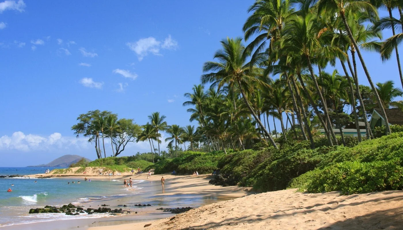 We All Deserve a Spring Break This Year