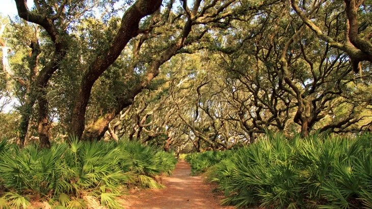 The Best Campground in Every State