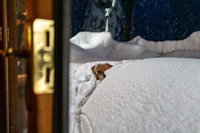 These photos show Tahoe homes buried by recent snow storms