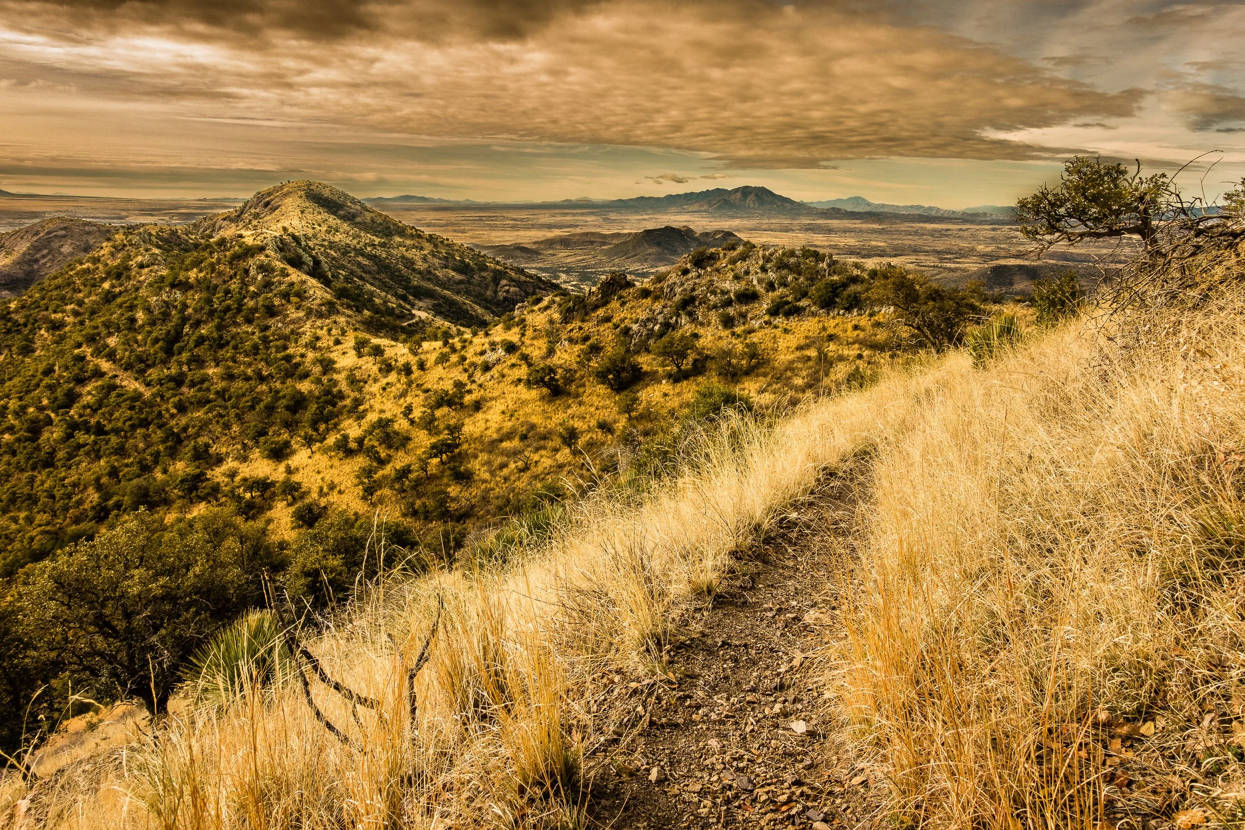 11 New Trails You Should Hike This Year