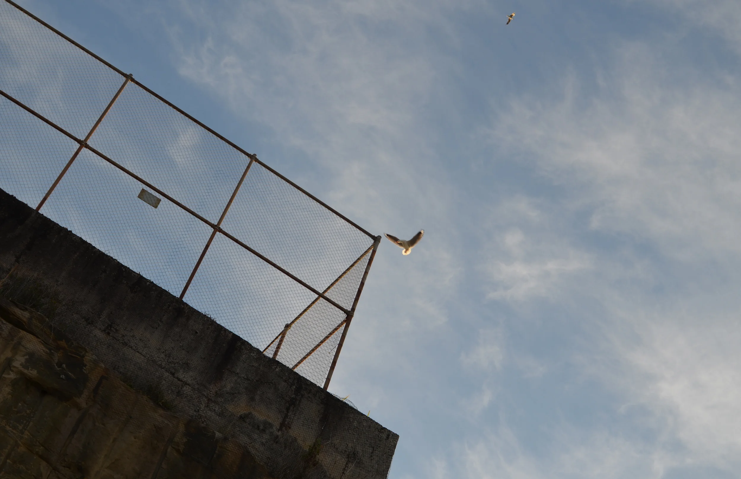 DSC_0161.JPG
