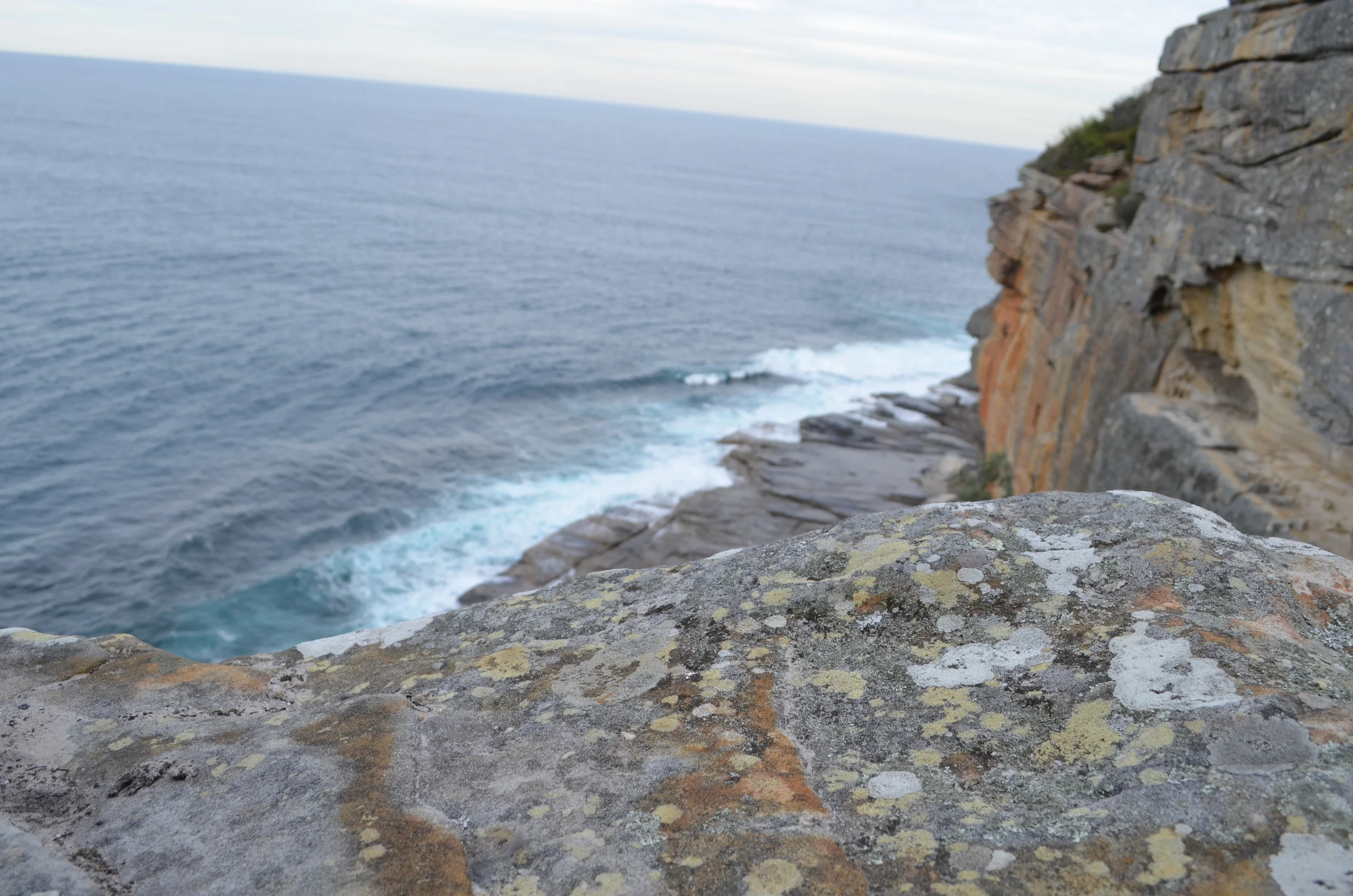DSC_0117 3.JPG