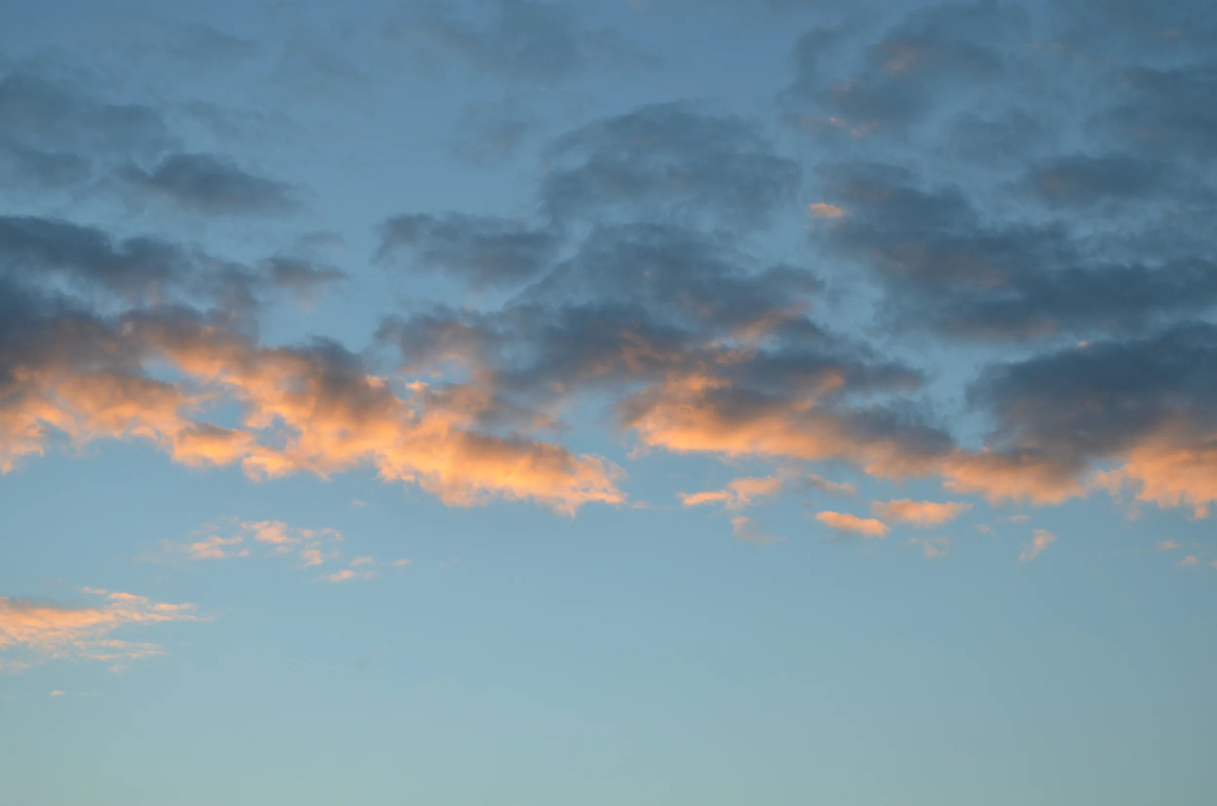 DSC_0259.JPG