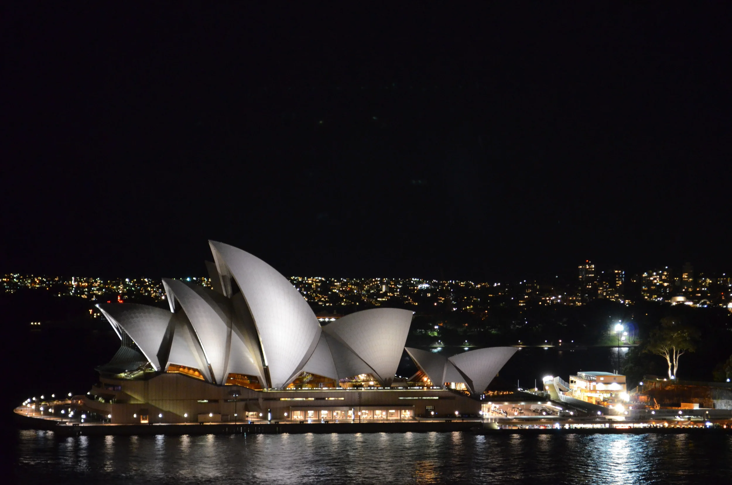 DSC_0177 4.JPG