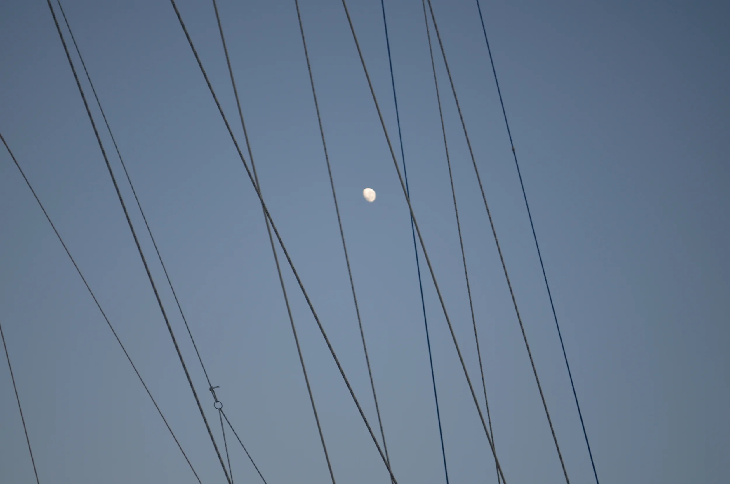 DSC_0258.JPG