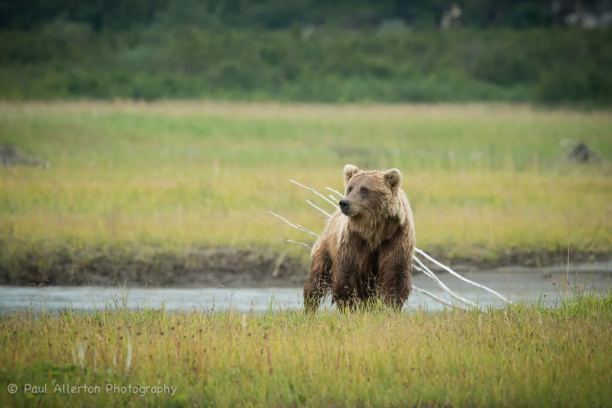 Alaska-20.jpg