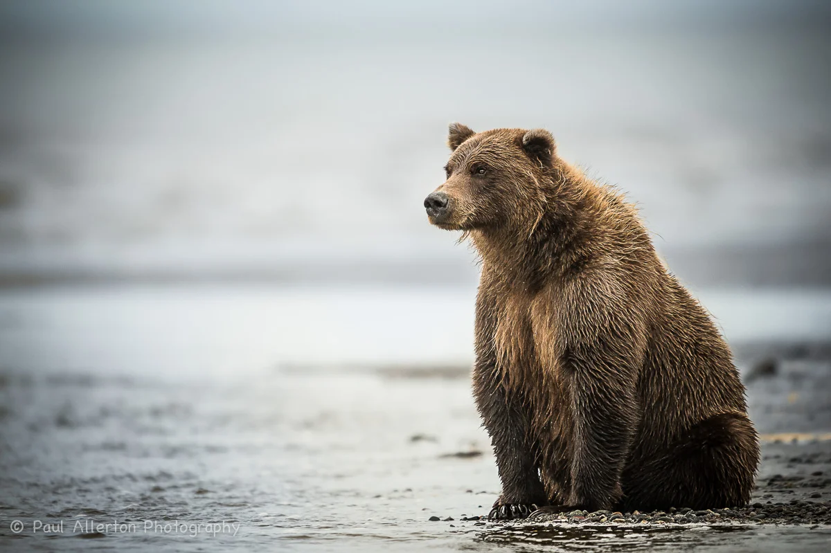 Alaska-34.jpg