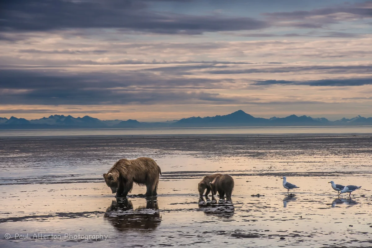 Alaska-39.jpg