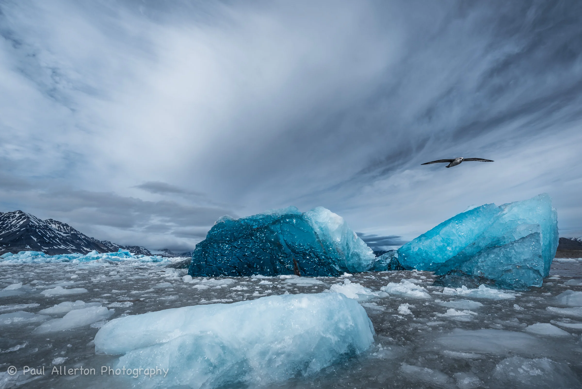 Svalbard-9.jpg