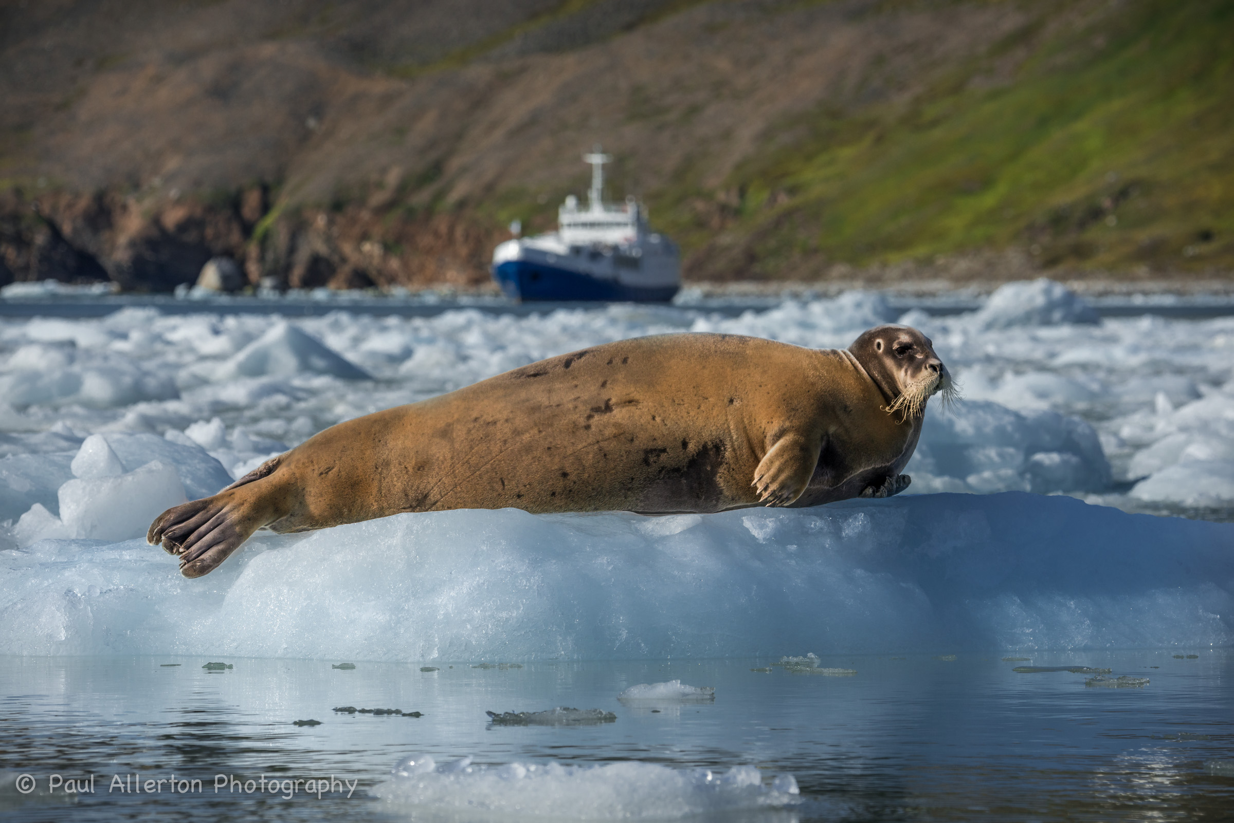 Svalbard-14.jpg