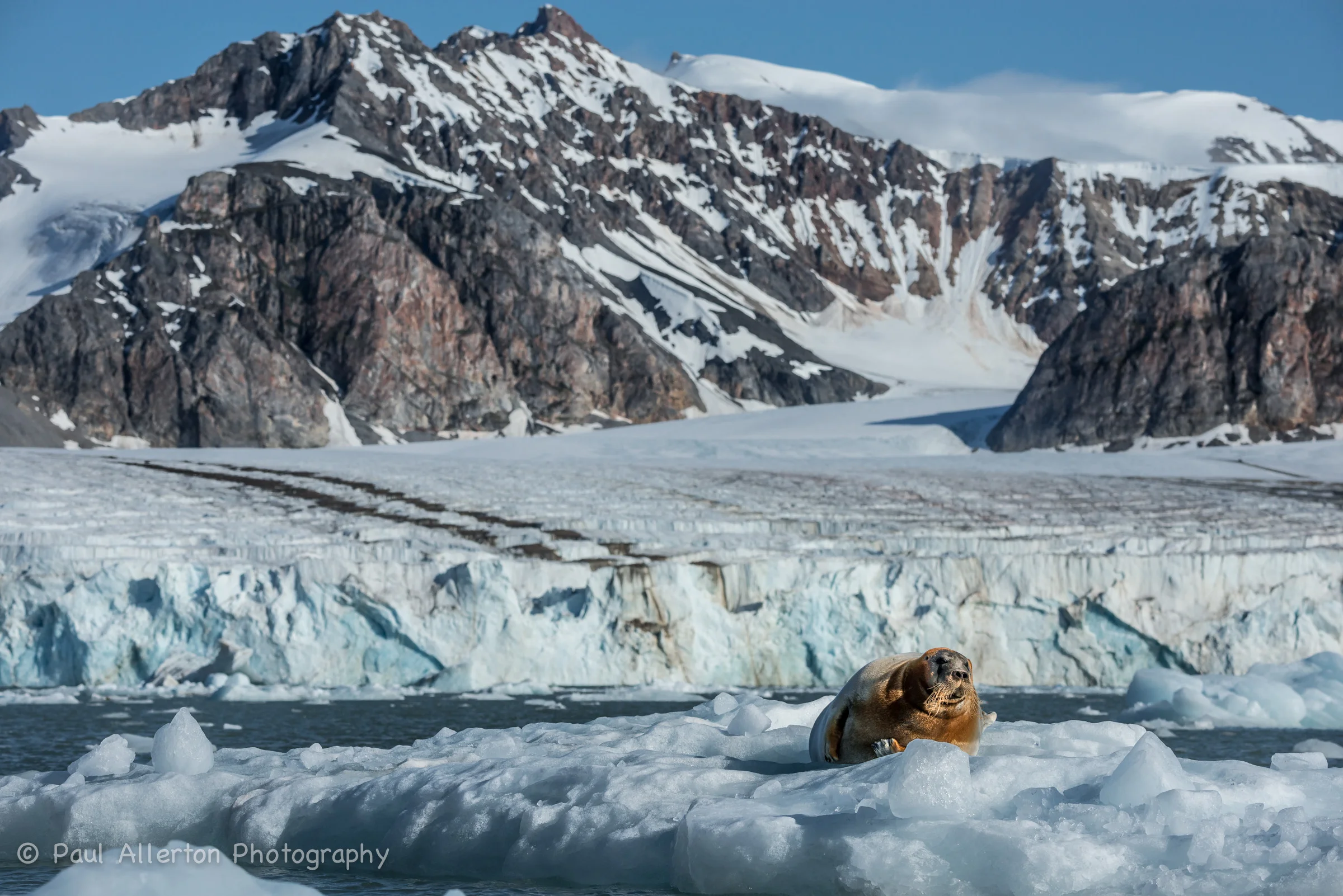 Svalbard-16.jpg