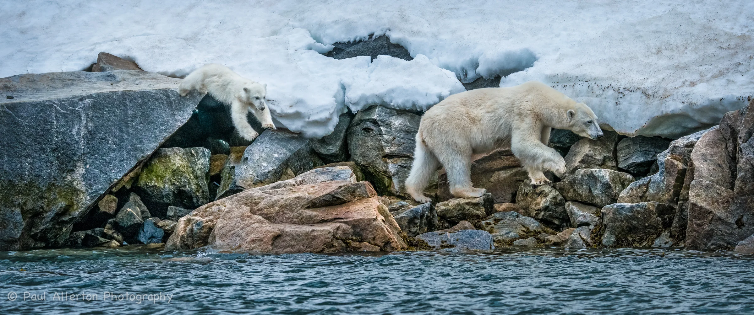 Svalbard-37.jpg