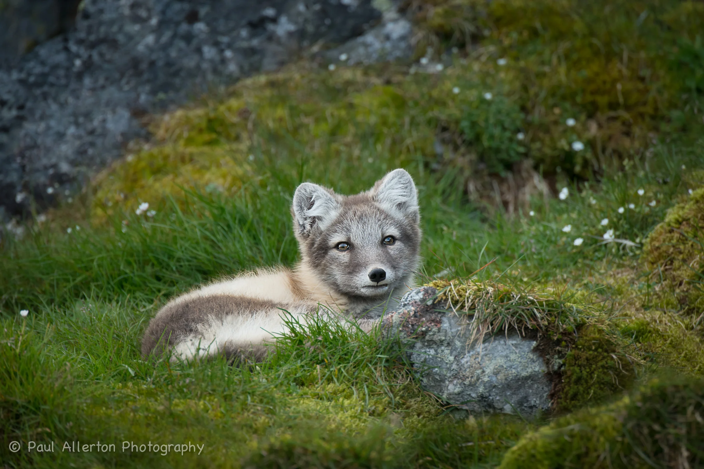 Svalbard-54.jpg