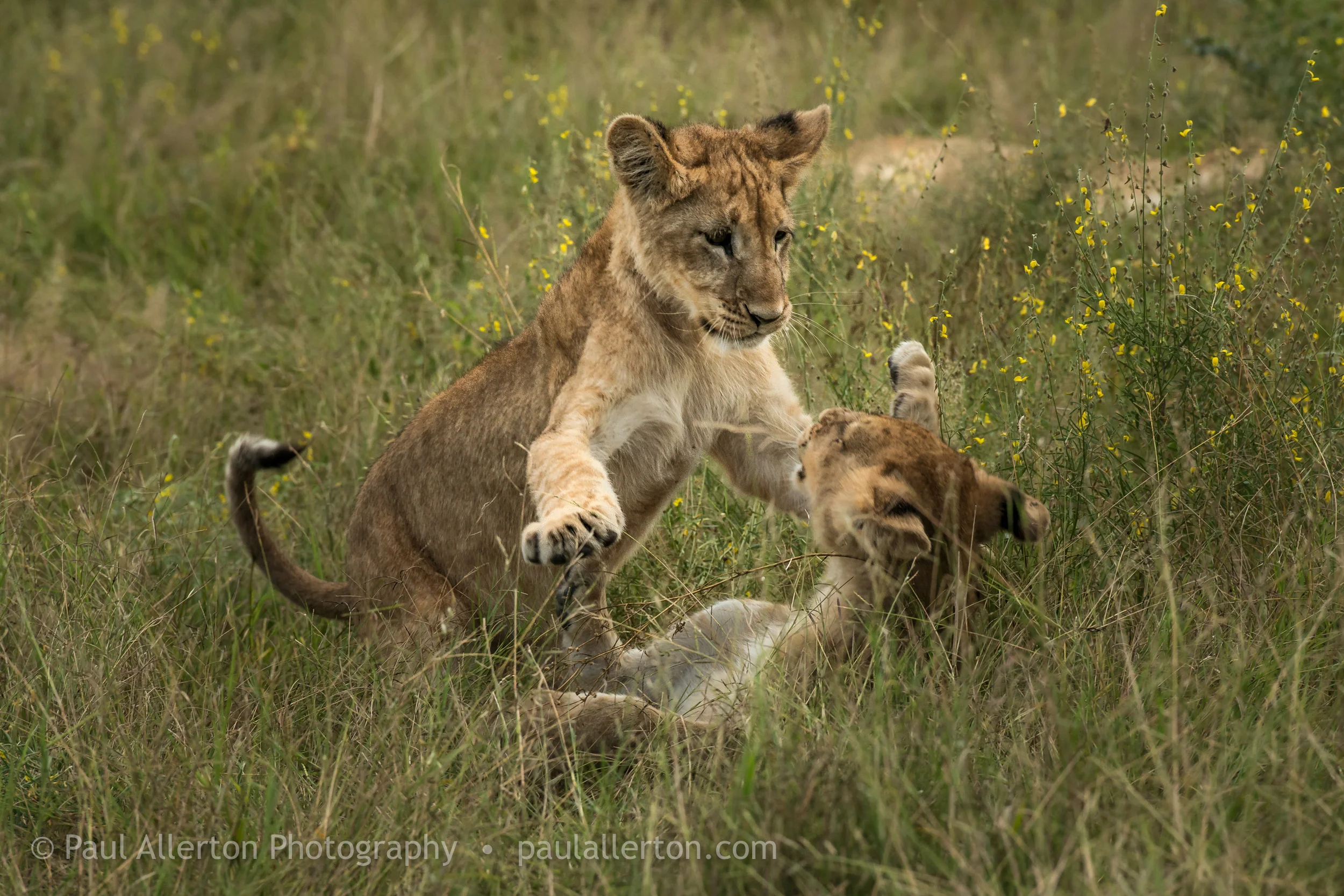 Botswana_9.jpg