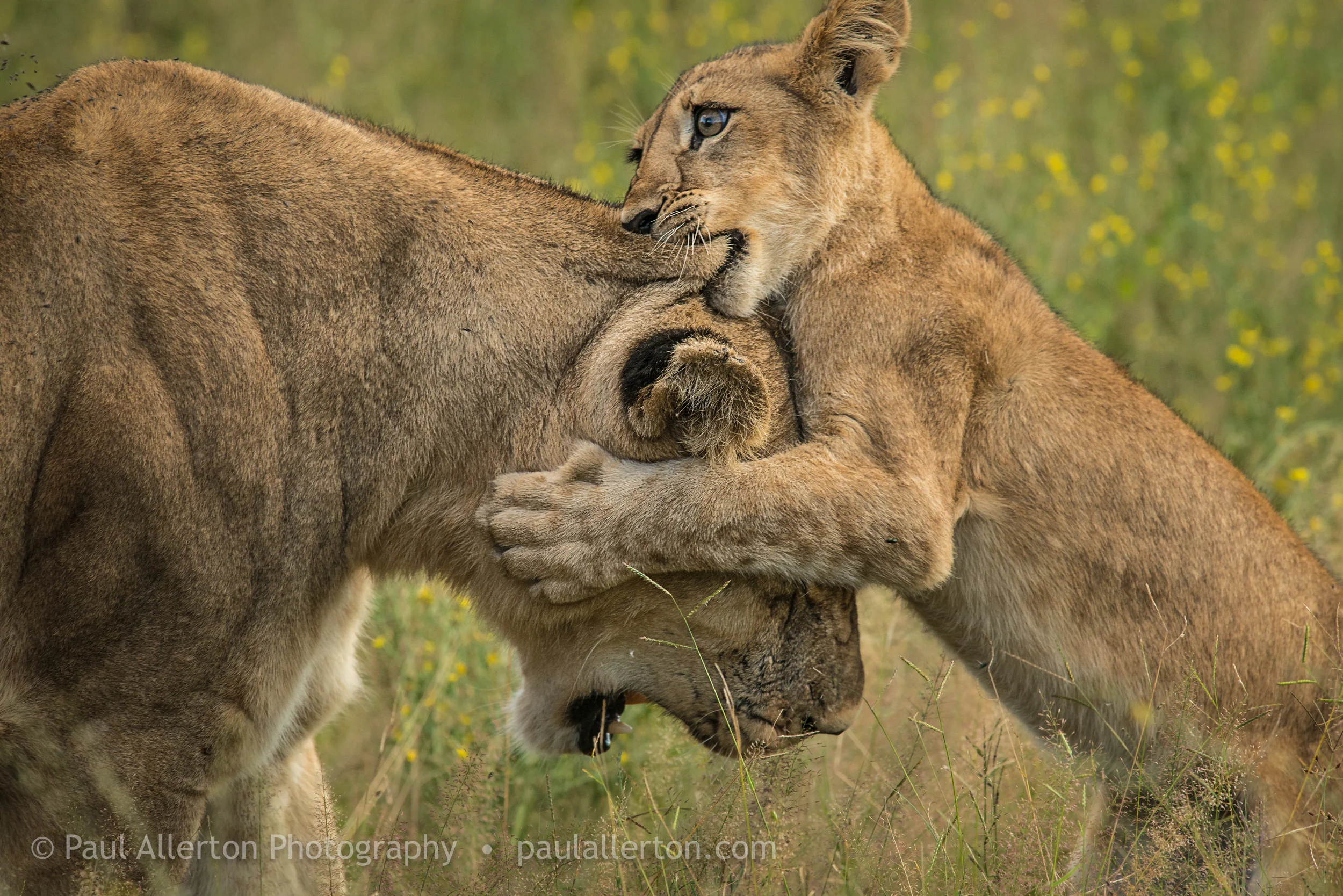 Botswana_10.jpg