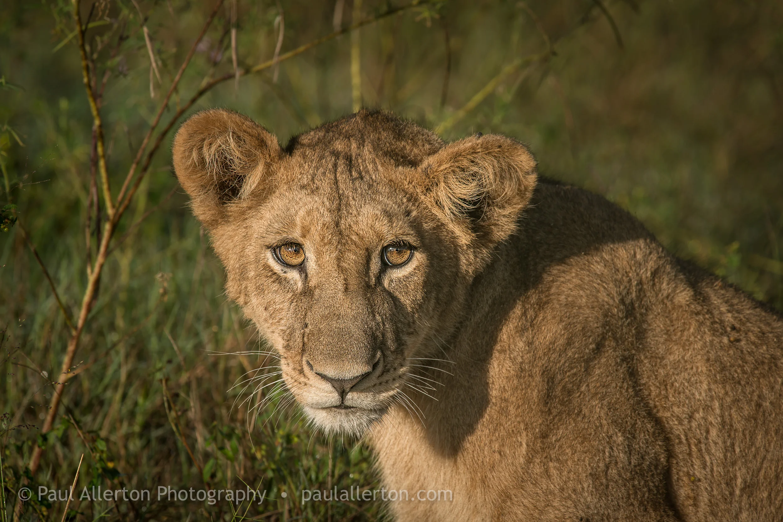Botswana_11.jpg