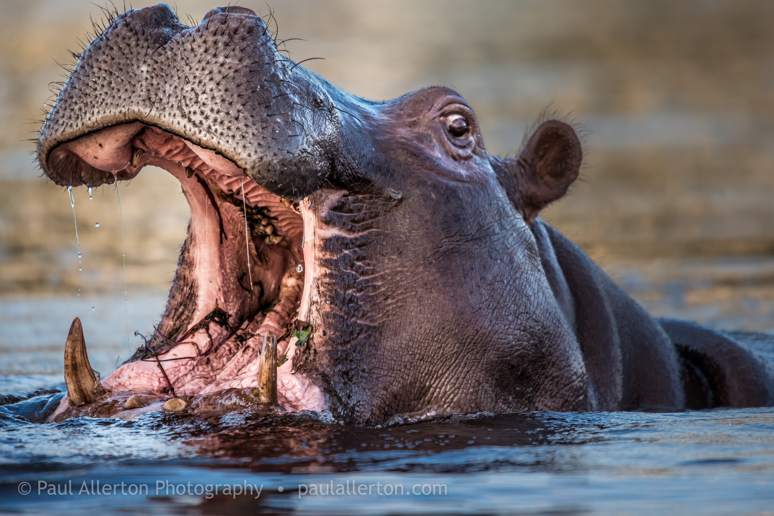 Botswana_16.jpg