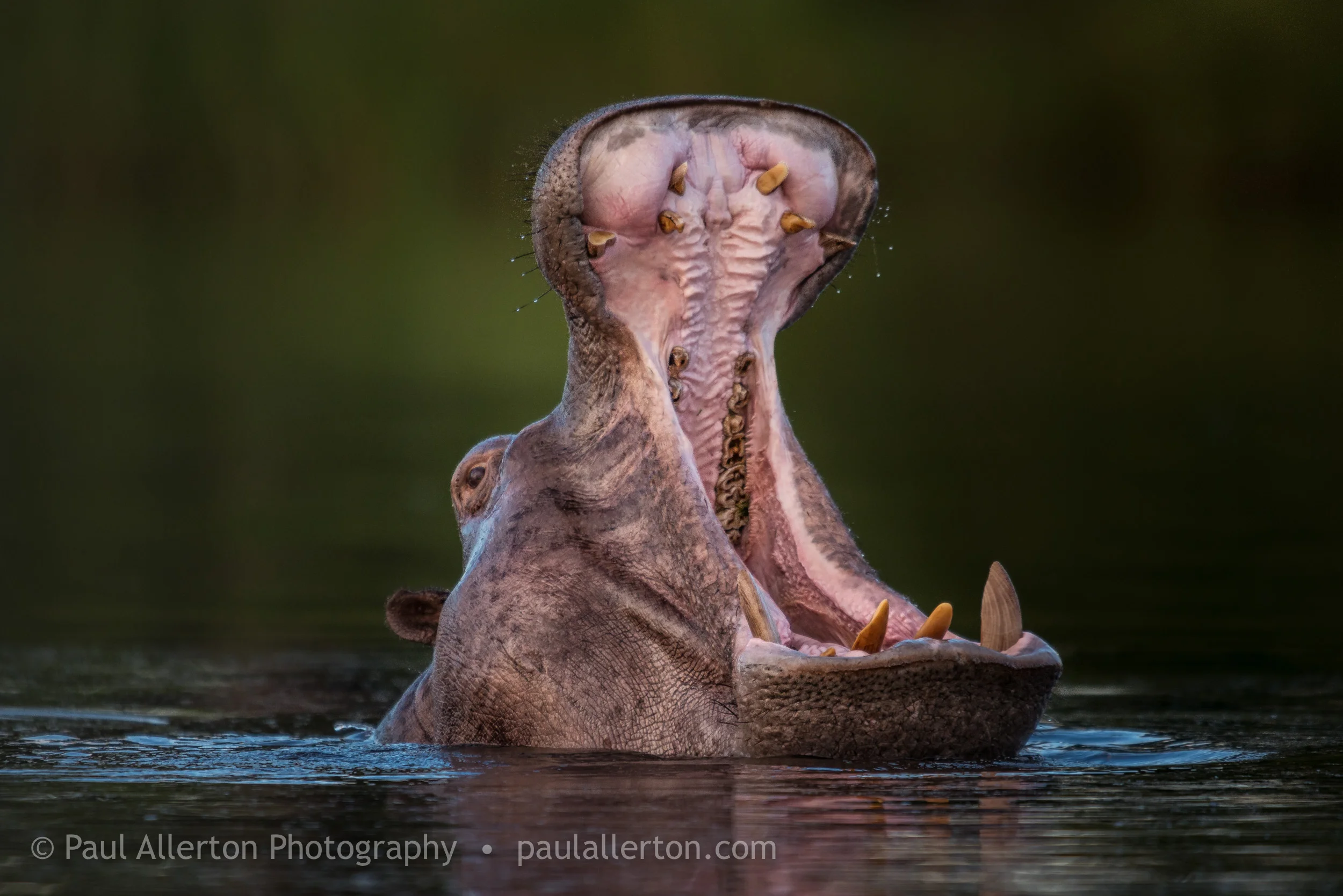 Botswana_17.jpg
