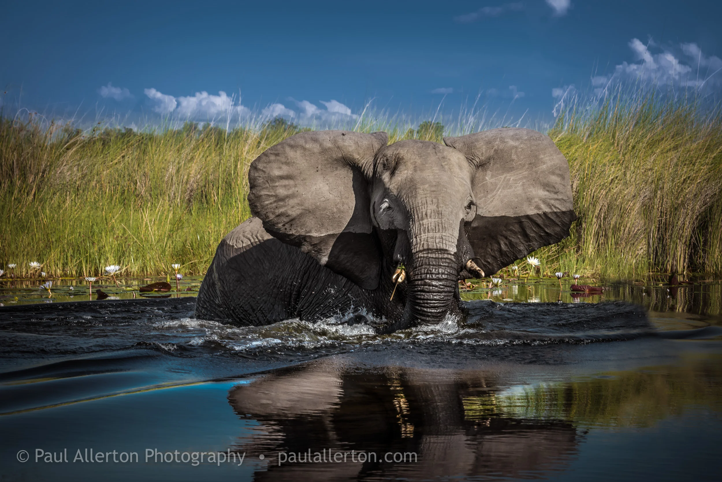 Botswana_19.jpg
