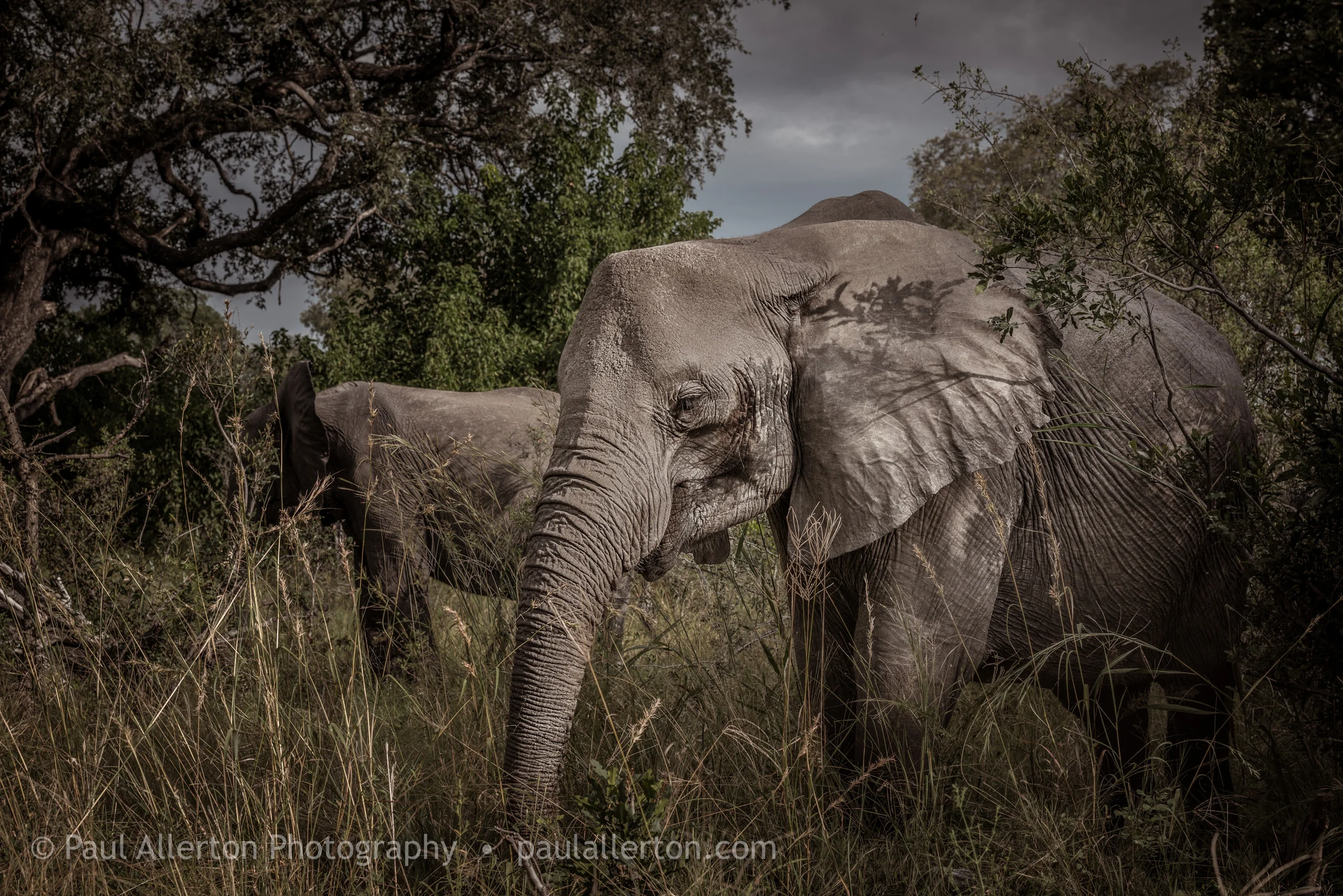 Botswana_24.jpg